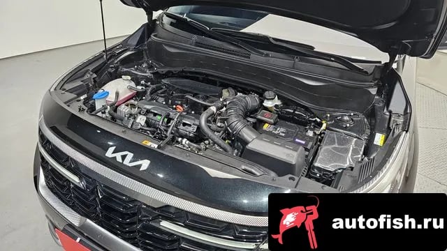 Kia Seltos The New Celtos 2025 года - похожие автомобили