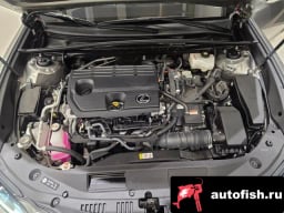 Миниатюра 6