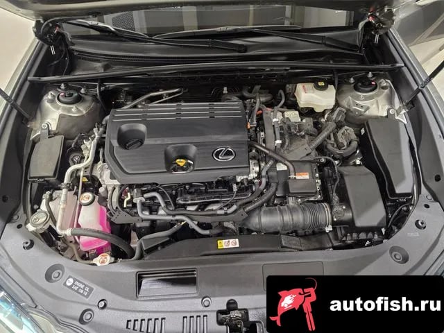 Lexus ES ES300h 7th generation 2024 года - вид 6