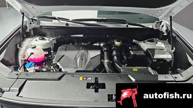 Hyundai Santafe San Tafe (MX5) 2025 года - вид 6