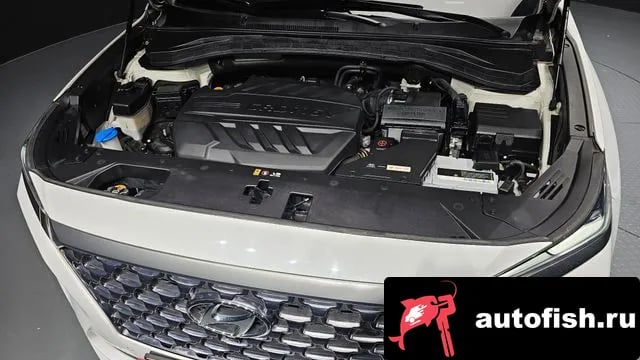 Hyundai Santafe San Tafe TM 2019 года - вид 6