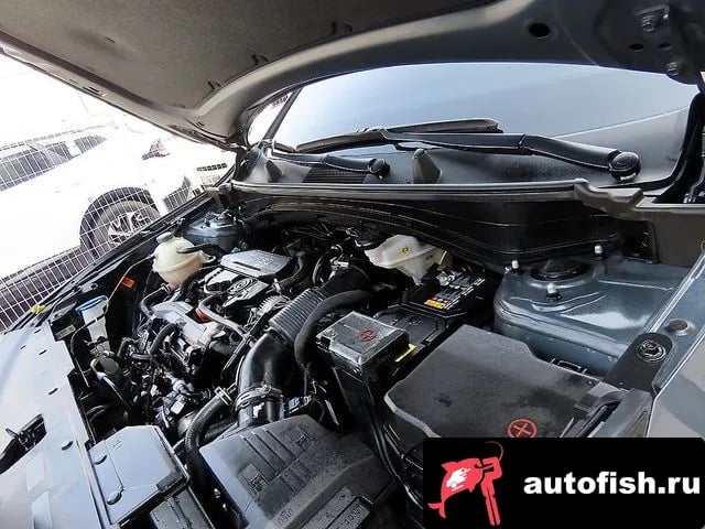 Kia Sportage Sportage 5th Generation 2023 года - вид 6