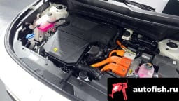 Миниатюра 6