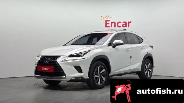 Lexus NX NX300h 2018 года - автомобиль из Южной Кореи