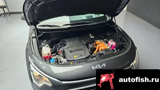 Kia Niro Di Ol Nu Niro 2023 года - вид 6