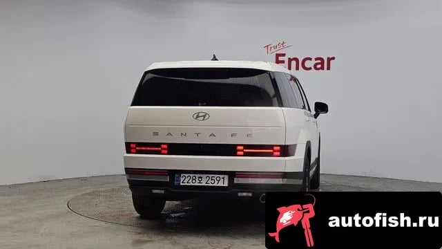 Hyundai Santafe San Tafe (MX5) 2024 года - вид 4