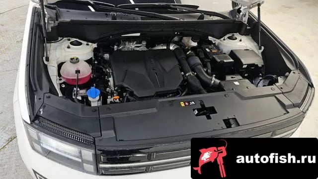 Hyundai Santafe San Tafe (MX5) 2024 года - вид 6