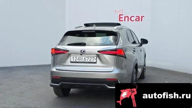 Lexus NX NX300h 2021 года - вид 4