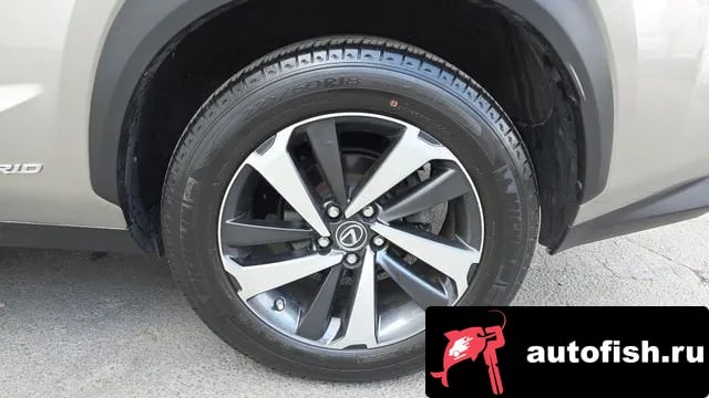 Lexus NX NX300h 2021 года - вид 5