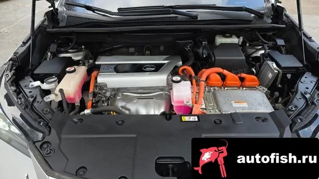 Lexus NX NX300h 2021 года - вид 6