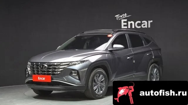 Hyundai Tucson Tucson Hybrid (NX4) 2023 года - вид 1