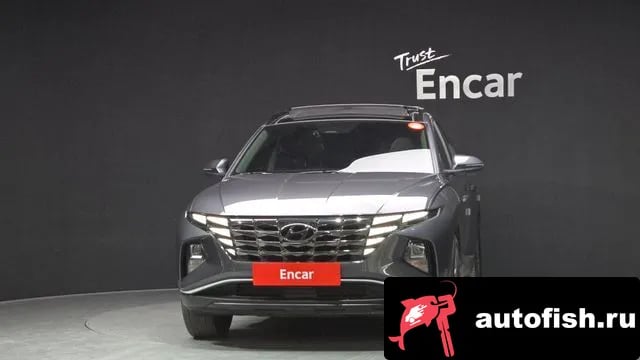 Hyundai Tucson Tucson Hybrid (NX4) 2023 года - вид 3