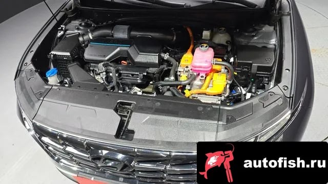 Hyundai Tucson Tucson Hybrid (NX4) 2023 года - вид 6