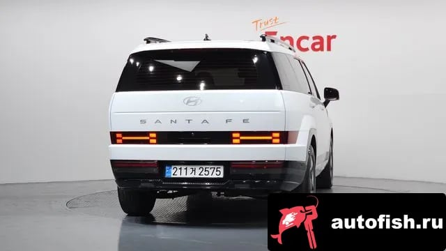 Hyundai Santafe San Tafe (MX5) 2024 года - вид 4