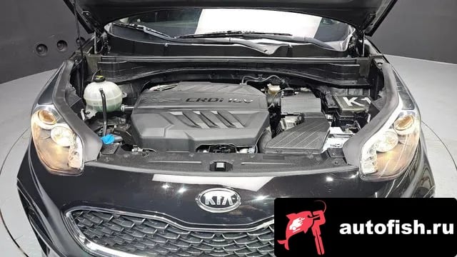Kia Sportage Sportage The Bold 2019 года - вид 6