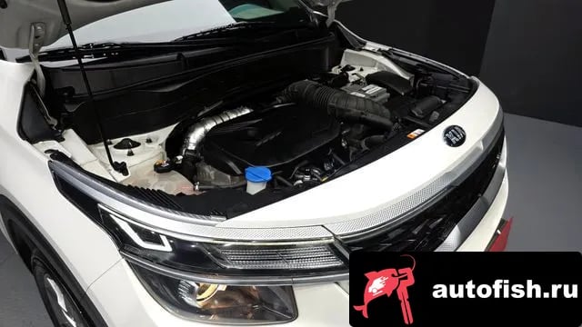 Kia Seltos Celtos 2021 года - вид 6