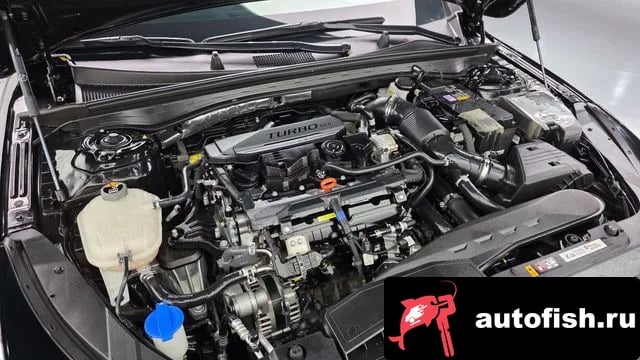 Kia K5 The New K5 3rd generation 2024 года - вид 6