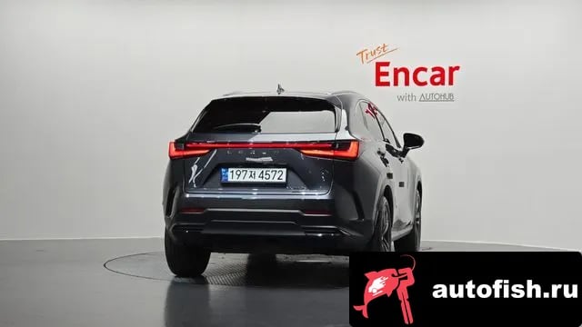 Lexus NX NX350h Second generation 2022 года - вид 4