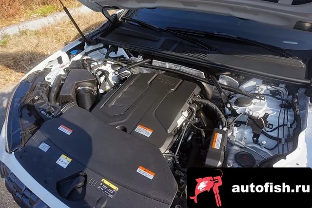 Audi Q5 Q5 (80A) 2025 года - вид 6