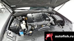 Миниатюра 6