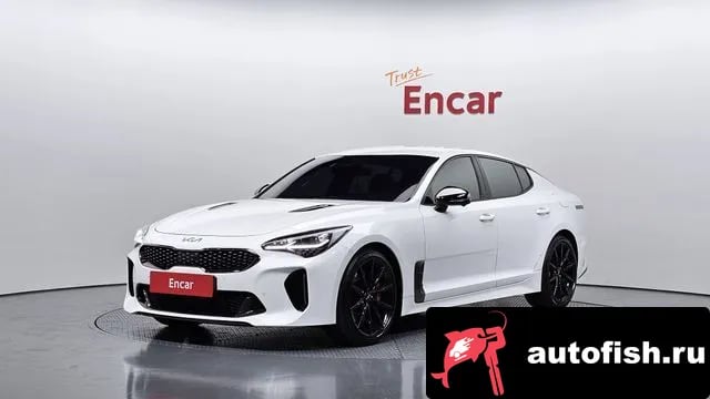 Kia Stinger Stinger Meister 2022 года - автомобиль из Южной Кореи