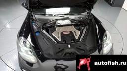 Миниатюра 6