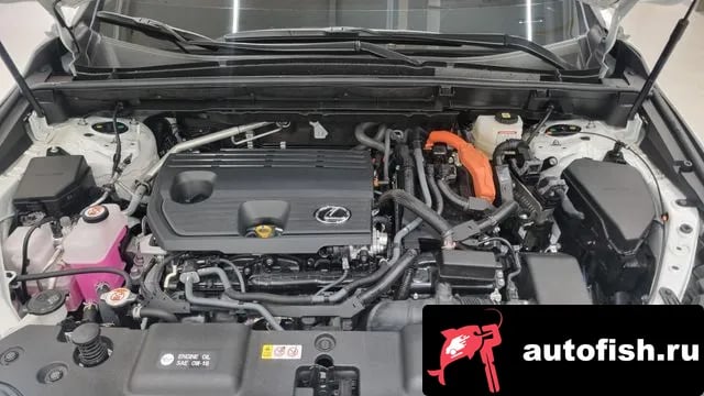 Lexus NX NX350h Second generation 2025 года - вид 6