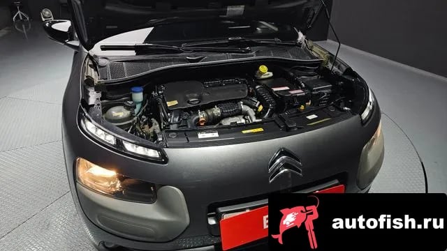 Citroen-DS C4 CACTUS C4 Cactus 2018 года - вид 6