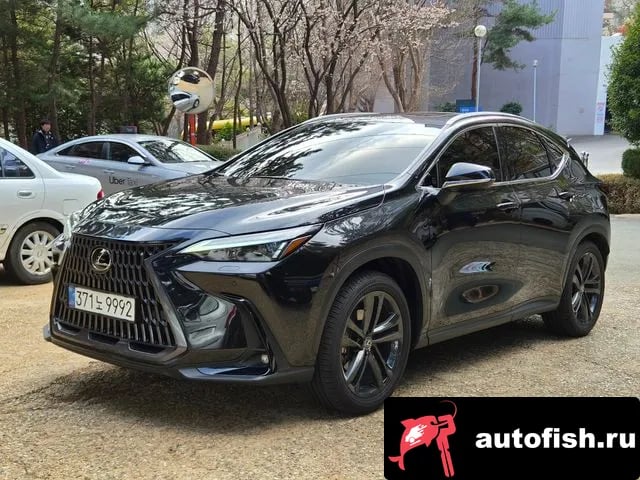 Lexus NX NX350h Second generation 2024 года - вид 1