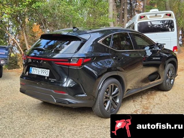 Lexus NX NX350h Second generation 2024 года - вид 2
