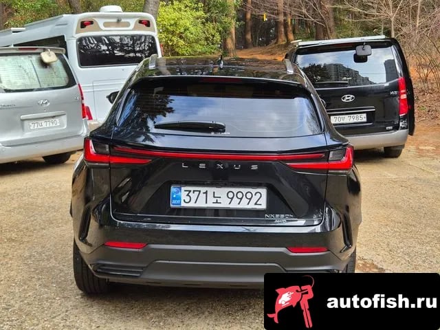 Lexus NX NX350h Second generation 2024 года - вид 4