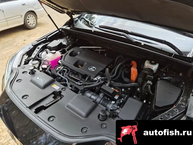 Lexus NX NX350h Second generation 2024 года - похожие автомобили