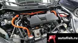 Миниатюра 6