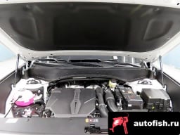 Миниатюра 6