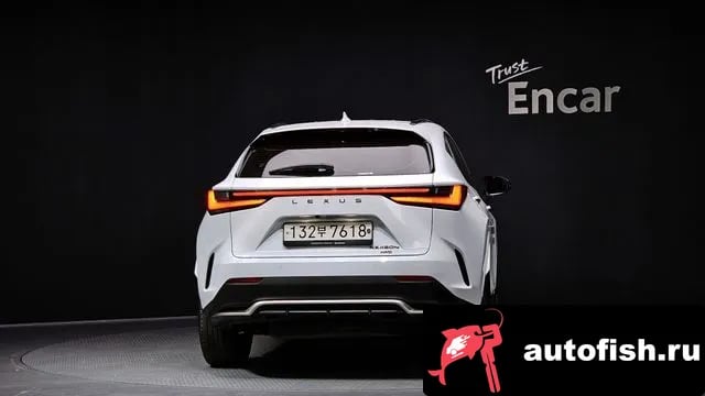 Lexus NX NX450h + 2nd generation 2022 года - вид 4