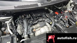 Миниатюра 6