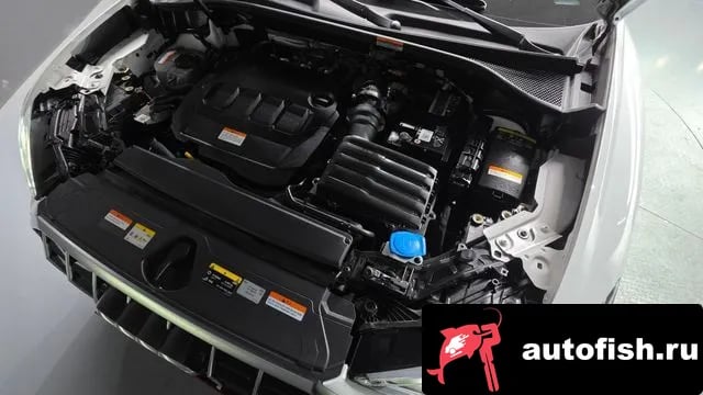 Audi Q3 Q3 (F3) 2023 года - вид 6