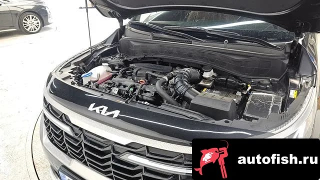 Kia Seltos The New Celtos 2024 года - вид 6