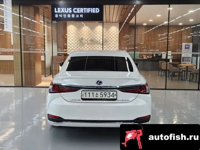 Lexus ES ES300h 7th generation 2020 года - вид 4