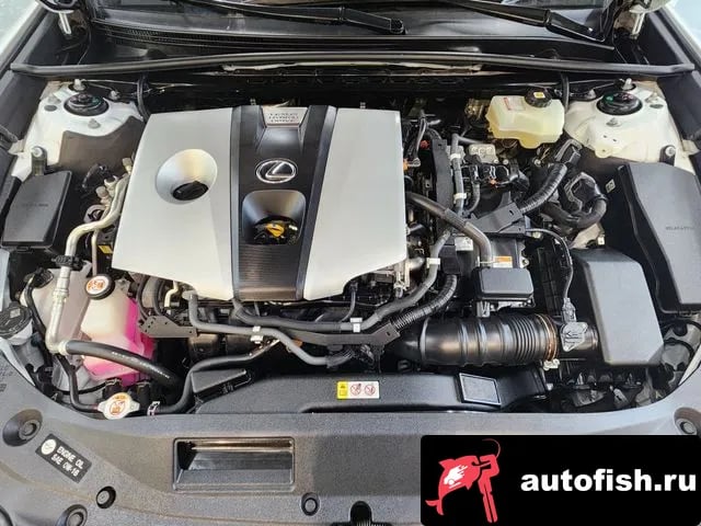 Lexus ES ES300h 7th generation 2020 года - вид 6