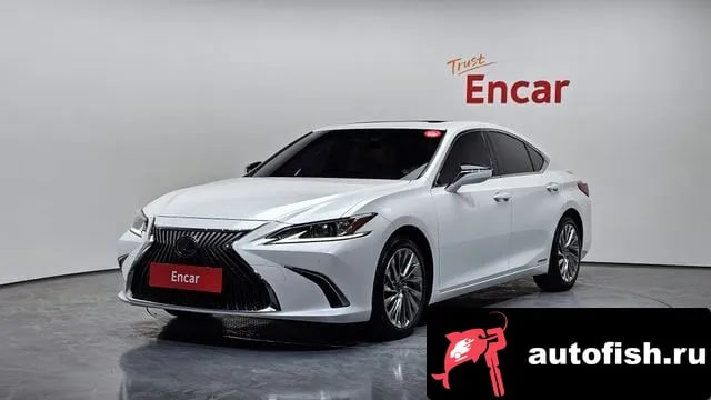 Lexus ES ES300h 7th generation 2020 года - вид 1
