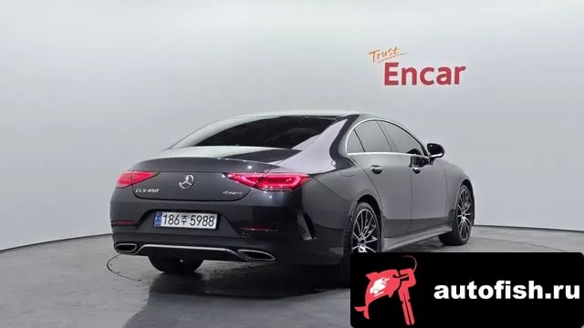 Mercedes-Benz CLS-Class CLS-Class C257 2019 года - вид 2
