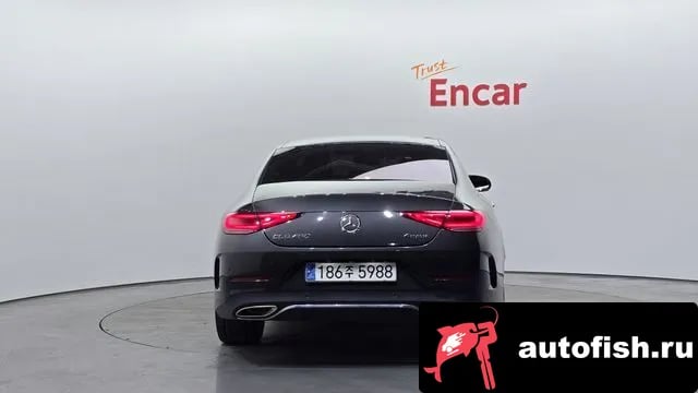 Mercedes-Benz CLS-Class CLS-Class C257 2019 года - вид 4