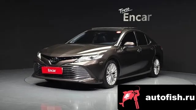 Toyota Camry Camry (XV70) 2019 года - вид 1