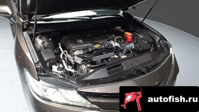 Toyota Camry Camry (XV70) 2019 года - вид 6