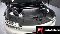 Миниатюра 6