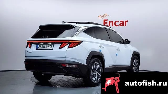 Hyundai Tucson Tucson Hybrid (NX4) 2023 года - вид 2