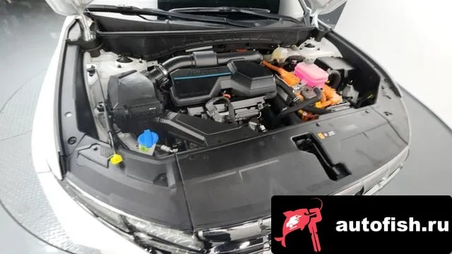 Hyundai Tucson Tucson Hybrid (NX4) 2023 года - вид 6