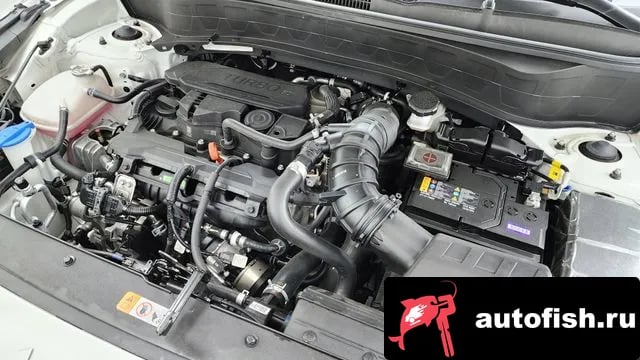 Kia Seltos The New Celtos 2024 года - вид 5