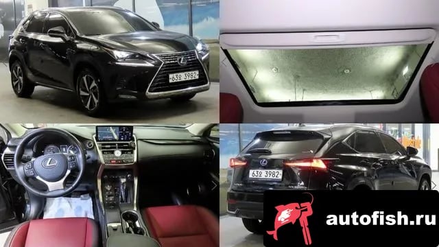 Lexus NX NX300h 2019 года - автомобиль из Южной Кореи